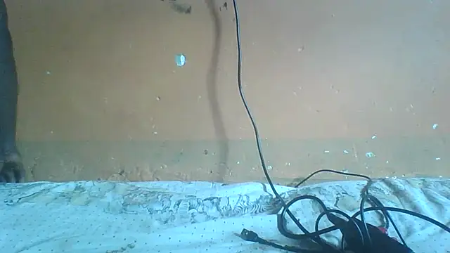 Sexyass100 online show from 04-20-26, 12:52