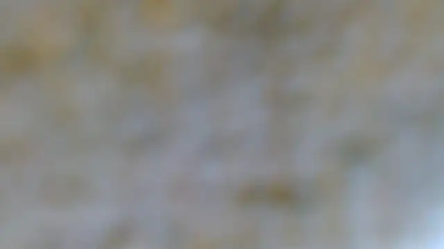 EVAN TAY online show from 02-07-26, 07:17