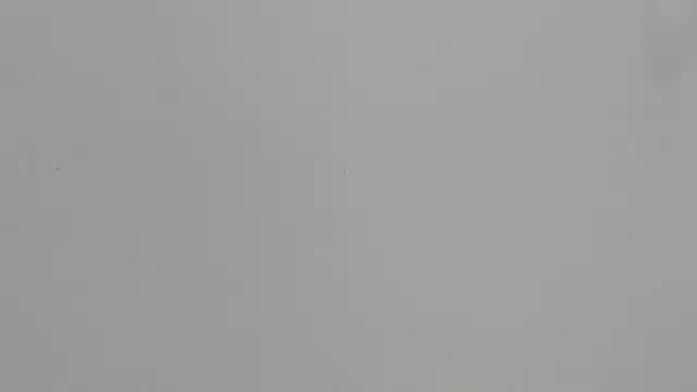 Ashley Ebony   online show from 02-18-26, 12:34