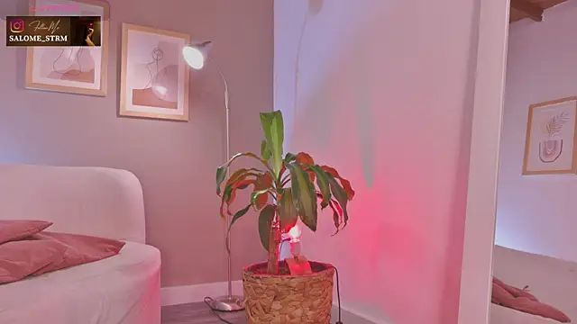 SalomeStorm  online show from 07-23-26, 01:53