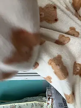 wjddjwjd online show from 03-12-26, 08:20