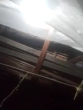 degeneradicto online show from 02-15-26, 05:04