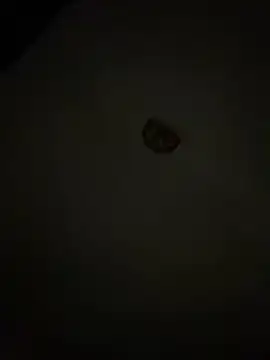 Diamanda12 online show from 03-01-26, 04:36