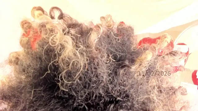 Brit weston online show from 02-11-26, 09:42