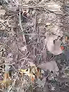 Cute Boy 4 online show from 04-19-26, 09:08