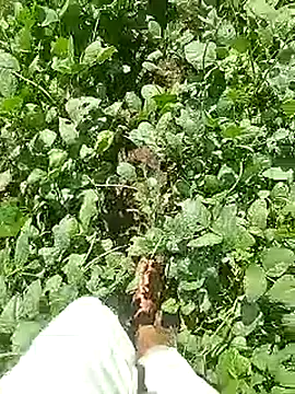 Cute Boy 4 online show from 04-22-26, 04:37