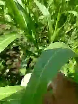 Cute Boy 4 online show from 04-23-26, 05:19