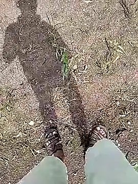 Cute Boy 4 online show from 06-05-26, 04:41