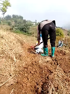 Tina-beo online show from 03-24-26, 01:43