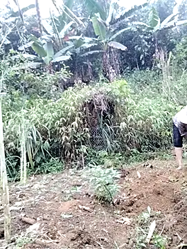 Tina-beo online show from 04-18-26, 08:18