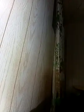 Prikev38452 online show from 02-12-26, 07:36