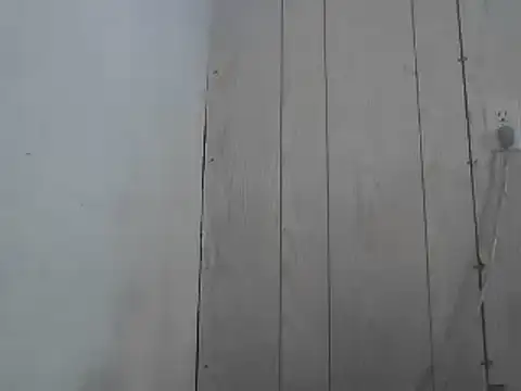 Prikev38452 online show from 04-01-26, 02:14