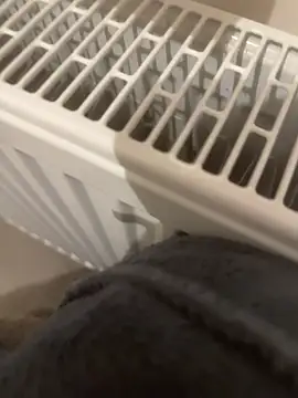 Diggaoder online show from 04-23-26, 03:41