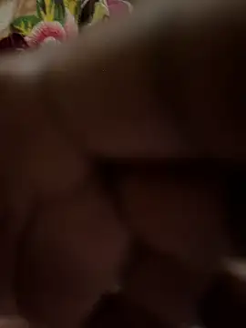 Pritu675 online show from 02-15-26, 03:42