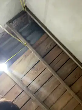 2b-xx online show from 03-04-26, 04:07