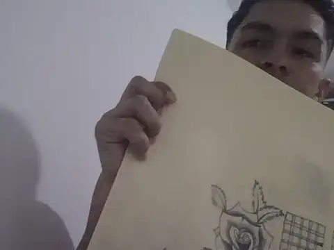 placerverdadero online show from 02-11-26, 04:17