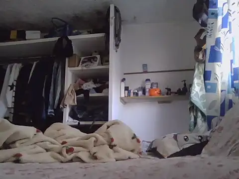 placerverdadero online show from 03-06-26, 03:41