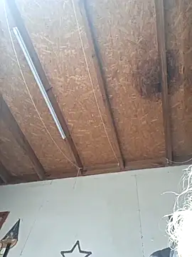 tuhardsexy online show from 05-25-26, 03:51