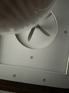 czamabe online show from 02-19-26, 10:00