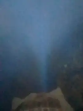 S7LEALTADPERVLIMA7 online show from 06-28-26, 03:34