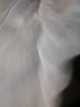 poke90201 online show from 03-22-26, 12:58