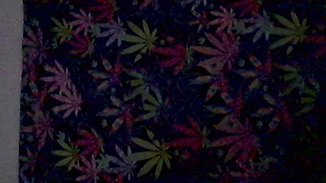 Snapshot of libraxxxstudios chatting on 07-03-26, 12:11 libraxxxstudios online show from 07-03-26, 12:11