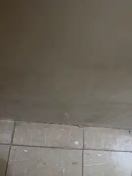 torchermachine online show from 04-18-26, 07:07