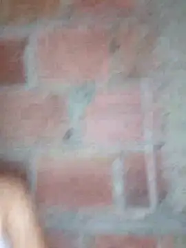 lachiki plus online show from 03-24-26, 10:31