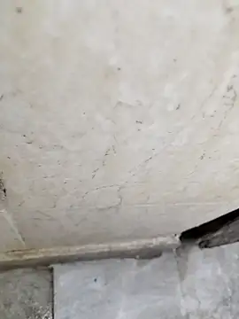 basyo2 online show from 04-24-26, 05:21