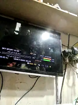 Aww21 online show from 02-14-26, 10:28