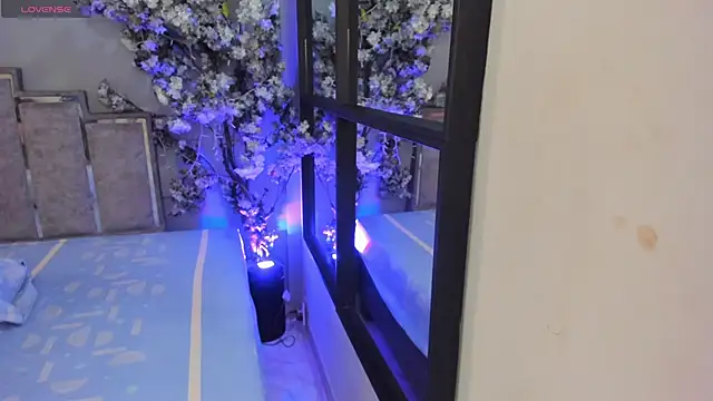 Nalapalmer online show from 02-07-26, 07:39