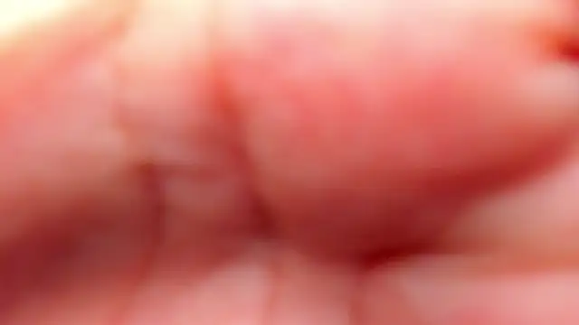 RinaFox   online show from 02-21-26, 01:17