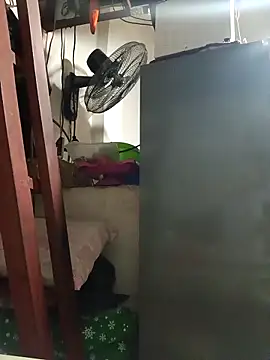 Wildcam21 online show from 02-19-26, 04:30