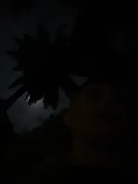 Gael Velaryx online show from 04-02-26, 03:15