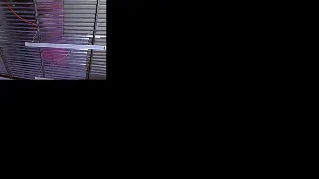 Snapshot of sophi_and_coby chatting on 05-02-26, 05:12 sophi and coby online show from 05-02-26, 05:12