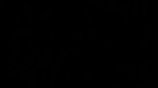 dixiedevin online show from 04-22-26, 10:50