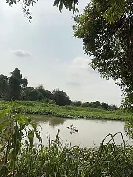 Lewd couple online show from 04-20-26, 02:14