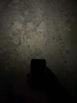 stallone italiano 62 online show from 02-17-26, 11:22