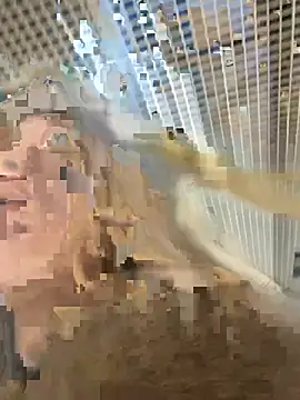 -OliviaSoft online show from 03-01-26, 02:41