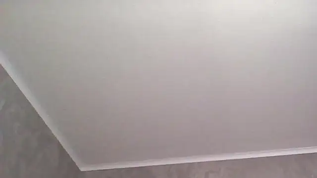 Clover Shine online show from 04-29-26, 08:37