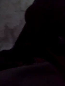 Pussypounder2ll online show from 03-12-26, 05:52