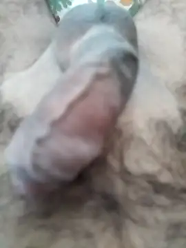 Love Sabby 700 online show from 04-28-26, 04:50