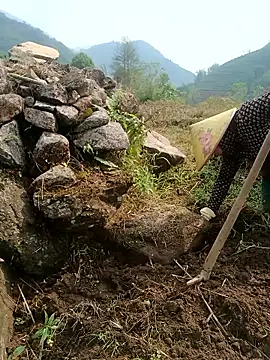 nelina 12345 online show from 04-23-26, 01:29