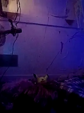 issyamazin online show from 04-08-26, 02:00