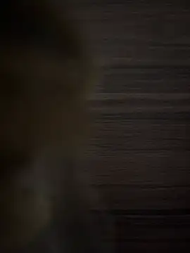 safadinhaputinha69 online show from 04-23-26, 12:51