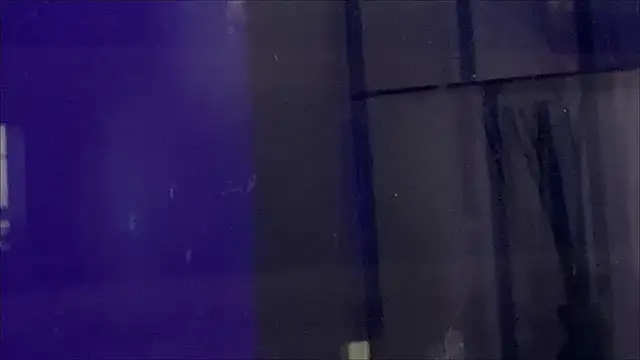 irohsako online show from 04-15-26, 08:31