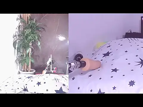 Carol Swet online show from 04-21-26, 11:49