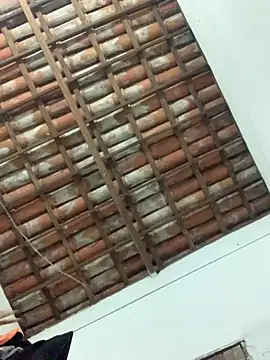 Navresseed online show from 04-18-26, 02:59