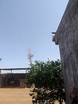 taniya0 online show from 04-23-26, 04:14