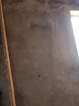 mollyboydick online show from 03-08-26, 10:30